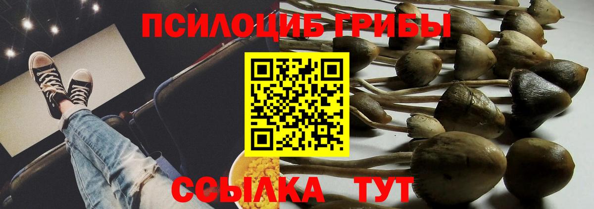 Псилоцибиновые грибы прущие грибы Кимовск