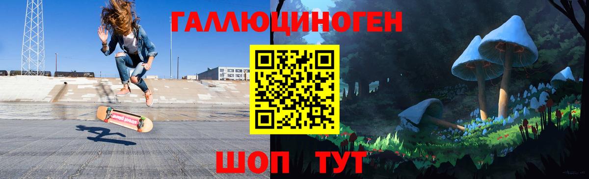 Галлюциногенные грибы Psilocybe  Вход с VPN  Кимовск 